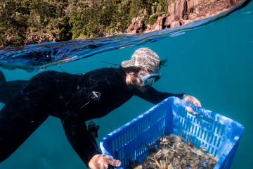 $2.4m for Reef-saving projects in the Whitsundays